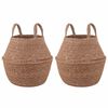 vidaXL Pflanzenk&uuml;bel mit Griffen 2 pcs Natur &Oslash; 22 x 20 cm 100% Seegras