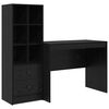 Black_oak