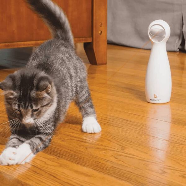 PetSafe Laserlicht-Spiel f&uuml;r Katzen FroliCat Bolt Wei&szlig;