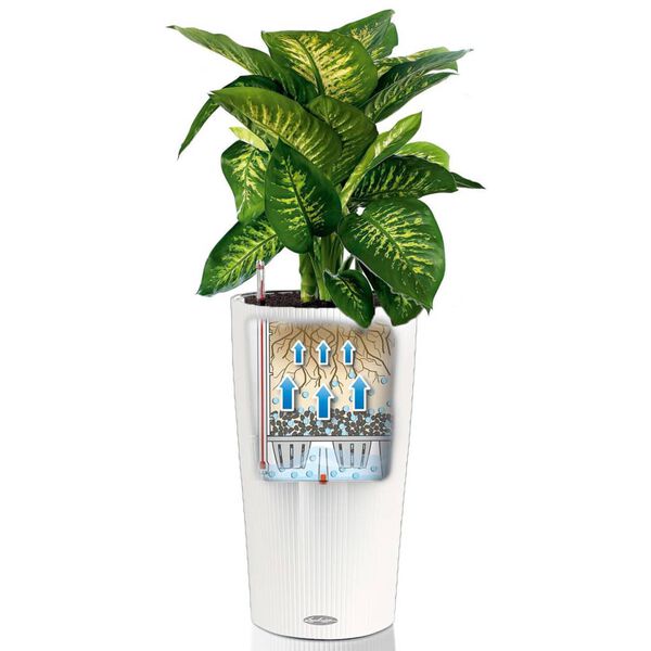 LECHUZA Blumentopf Cilindro Color 32 Komplett-Set Wei&szlig; 13950