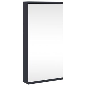 vidaXL Eck-Spiegelschrank Grau 30x24x60 cm