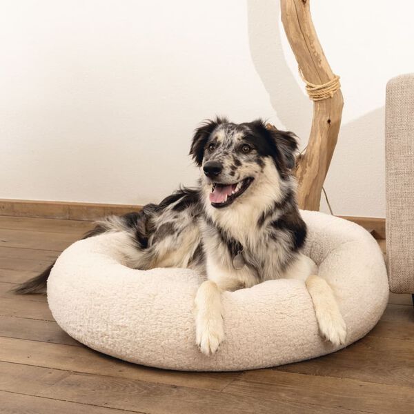 Beeztees Hundebett Jaxx Memory-Schaum 60x25 cm Beige