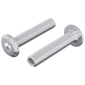 vidaXL Schraube mit Sperre Uni 2 pcs Silber M6 x 30 mm Stahl