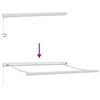 vidaXL Einziehbare Markise Gr&uuml;n und Wei&szlig; 300 x 250 cm Stoff und Metall