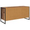 vidaXL TV-Schr&auml;nk Altholz 100 x 36 x 49.5 cm Holzwerkstoff