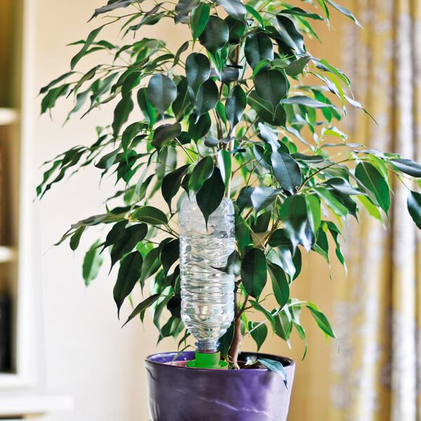 Hozelock 4 Stk. Bew&auml;sserungskegel Aquasolo Mittelgro&szlig;