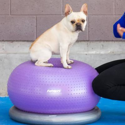 FitPAWS Fitnessball für Hunde TRAX Donut 55 cm Lila