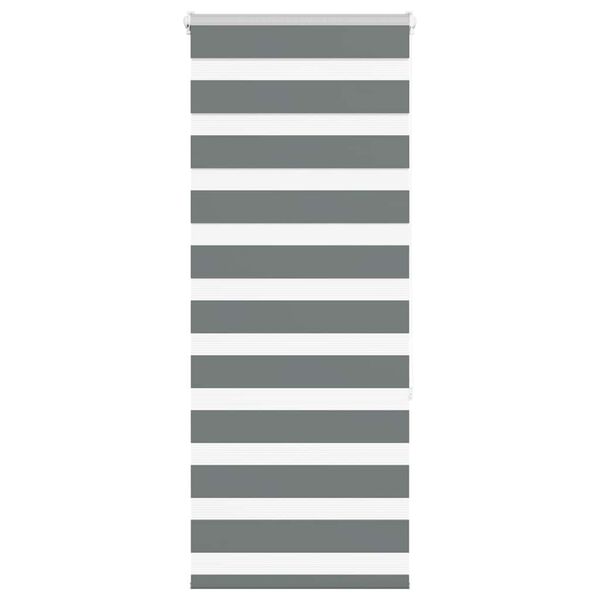 vidaXL Doppelrollo Dunkelgrau 55x150 cm Stoffbreite 50,9 cm Polyester