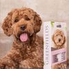 Greenfields Labradoodle Hundeshampoo und Spray Set 2x250 ml