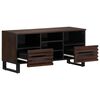 vidaXL TV-Schrank Braun 100x34x46 cm Massivholz Mango