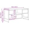 vidaXL TV-Schr&auml;nk Raucharbe 100 x 36 x 49,5 cm Holzwerkstoff