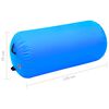 vidaXL Aufblasbare Gymnastik-Rolle mit Pumpe 120x75 cm PVC Blau