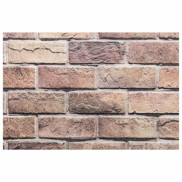 vidaXL Wandpaneele 10 pcs Braun und Grau 100 x 50 cm EPS-Schaum