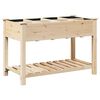 vidaXL Garten-Pflanzgef&auml;&szlig; Beige 115 x 59 x 76,5 cm