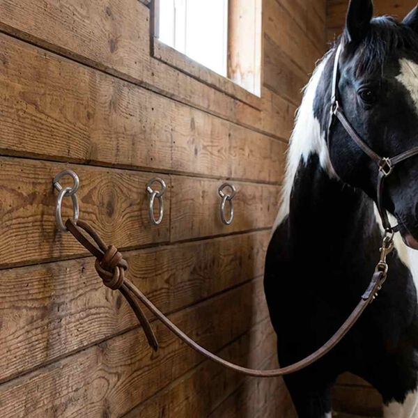 Produktbild 2 von 7 anzeigen