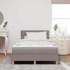 vidaXL Boxspringbett mit Matratze Taupe 120 x 200 cm Stoff