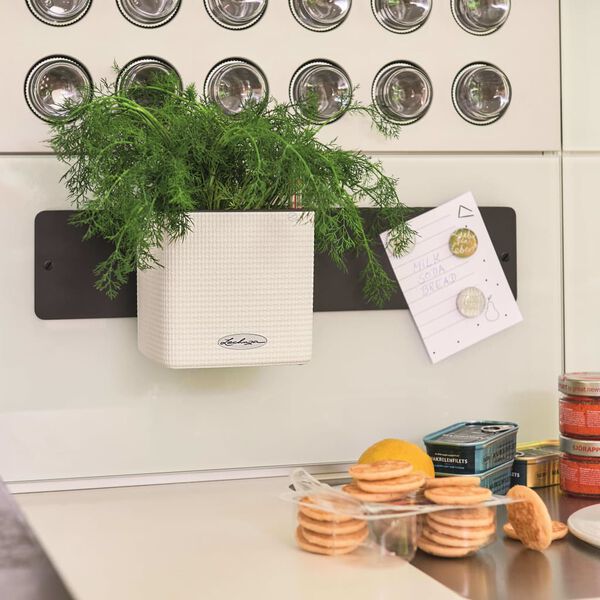 LECHUZA Pflanzgef&auml;&szlig;e 3 Stk. Green Wall Home Kit Wei&szlig;