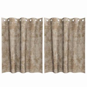 vidaXL Samtvorh&auml;nge mit Vorh&auml;ngen 2 pcs Champagner 140 x 140 cm Samt