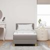 vidaXL LED Boxspringbett mit Matratze mit LED Taupe 90 x 200 cm Stoff