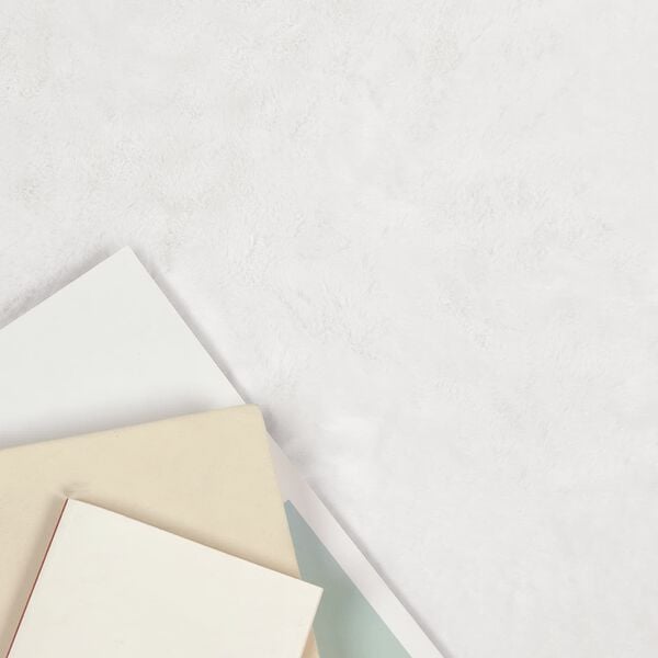 vidaXL Kunstfell Hasen Teppich Olite Wei&szlig; 80 x 120 cm Polyester