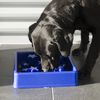 EAT SLOW LE LONGER Anti-Schling-Napf f&uuml;r Hunde Star Blau S