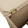 vidaXL Propan-Tank-Verstecktisch Beige 40x40x60 cm Poly Rattan