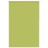 vidaXL Verdunkelungsrollo Gr&uuml;n 155x210cm Stoffbreite 151,6cm Polyester