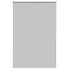 vidaXL Verdunkelungsrollo Hellgrau 150x210cm Stoffbreite 146,6cm