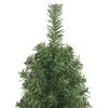 vidaXL Künstlicher Weihnachtsbaum Schlank mit Ständer Grün 150 cm PVC