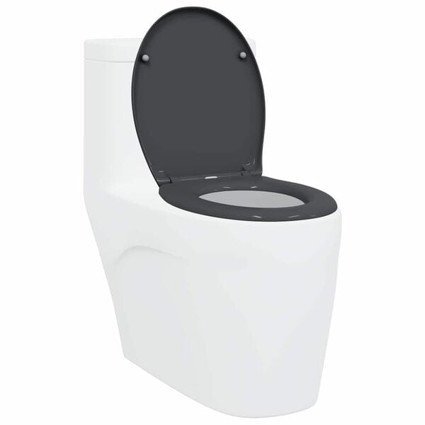 vidaXL Toilettensitz Anthrazit 44,8 x 37,3 x 4,2 cm Duroplast
