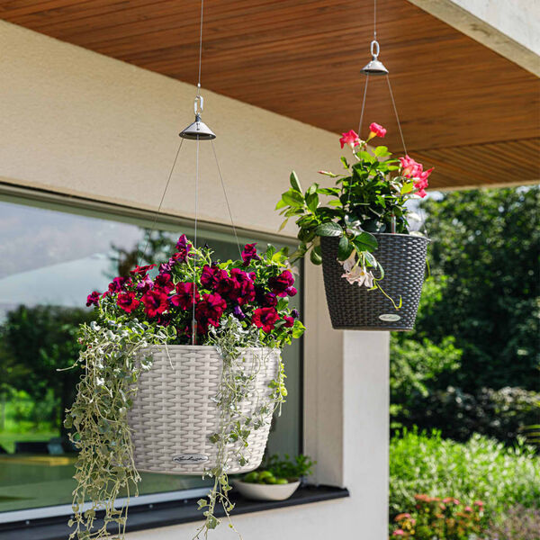 LECHUZA Blumenampel NIDO Cottage 35 ALL-IN-ONE Granitgrau