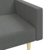 vidaXL Schlafsofa 2-Sitzer mit Fußhocker Dunkelgrau Stoff