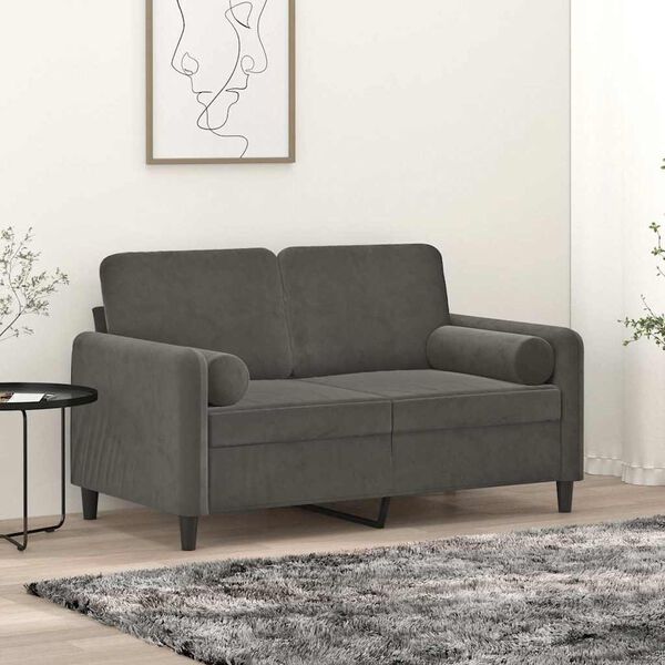 vidaXL 2-Sitzer-Sofa mit Kissen Dunkelgrau 120 cm Samt