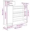 vidaXL Schuhschrank Artisan-Eiche 100,5 x 28 x 100 cm Holzwerkstoff