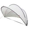 Grey_and_orange