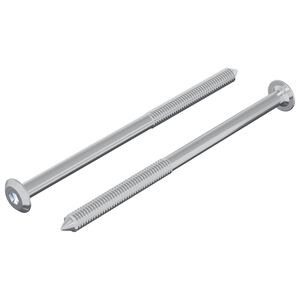 vidaXL Schraube 2 pcs Silber M6 x 100 mm Stahl