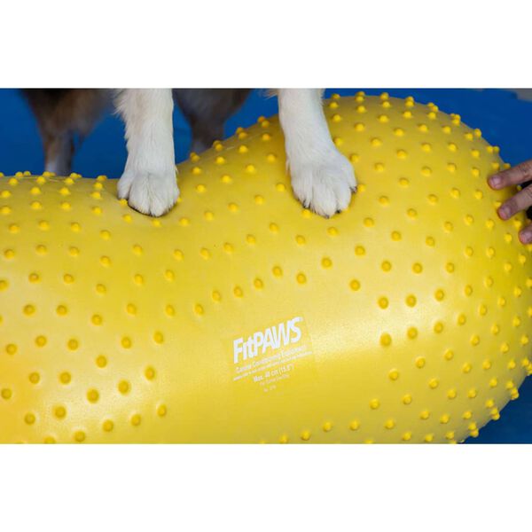 FitPAWS Balance-Kissen f&uuml;r Hunde Trax Peanut 40 cm Gelb