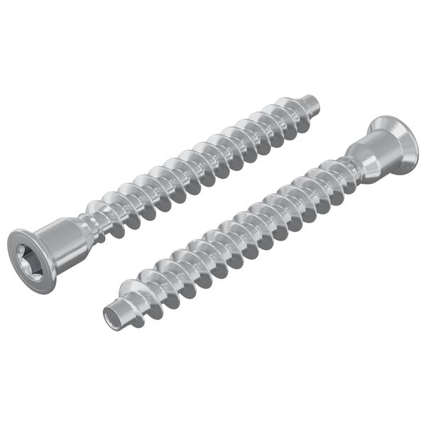 vidaXL Confirmat-Schrauben 2 pcs Silber &Oslash;7 x 58 mm Metall
