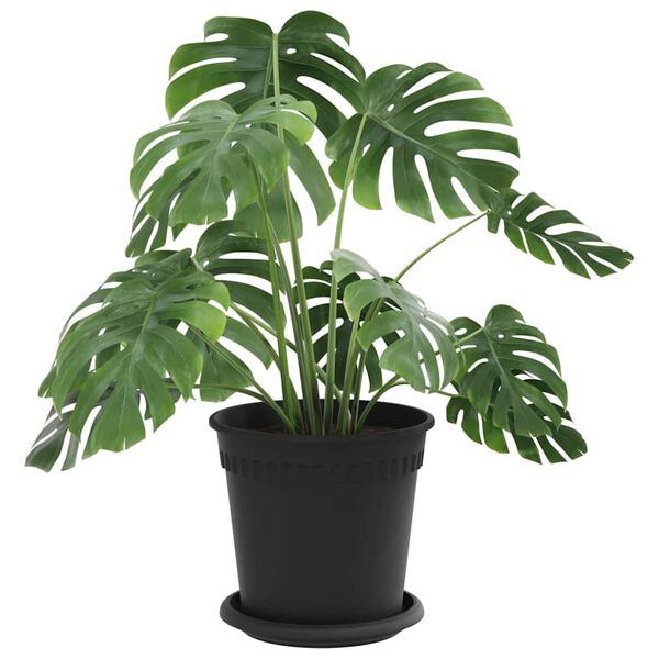 vidaXL Blument&ouml;pfe 24 pcs Schwarz &Oslash; 17 x 14 cm Kunststoff