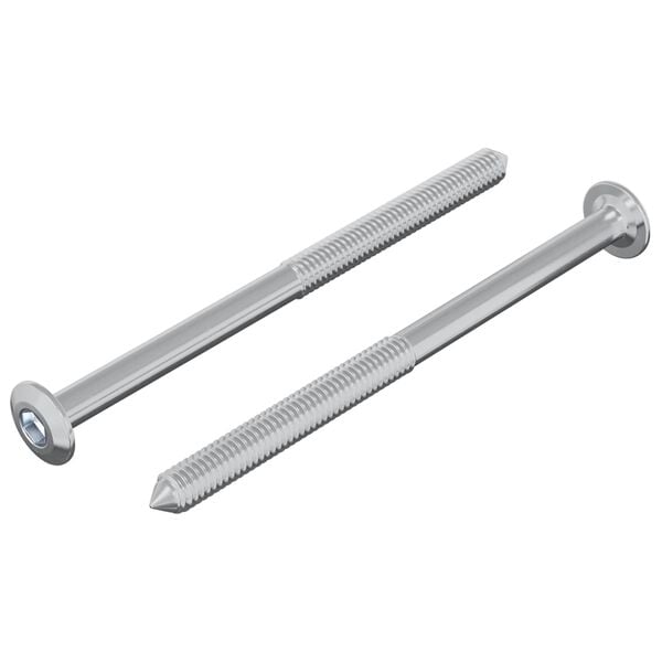 vidaXL Schraube 2 pcs Silber M6 x 85 mm Stahl
