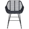 vidaXL Esszimmerstuhl 2 pcs Schwarz 55 x 50 x 74 cm Rattan und Eisen