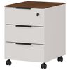 Germania Rollschrank GW-Ancona 51x41x55 cm Kaschmir und Nussbaum