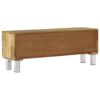 vidaXL TV-Schrank Massivholz Mango 118x30x45 cm