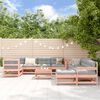 vidaXL 10-tlg. Garten-Lounge-Set mit Kissen Massivholz Douglasie