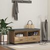 vidaXL Flurbank mit Kissen mit Speicher Artisan-Eiche 100 x 38 x 46 cm