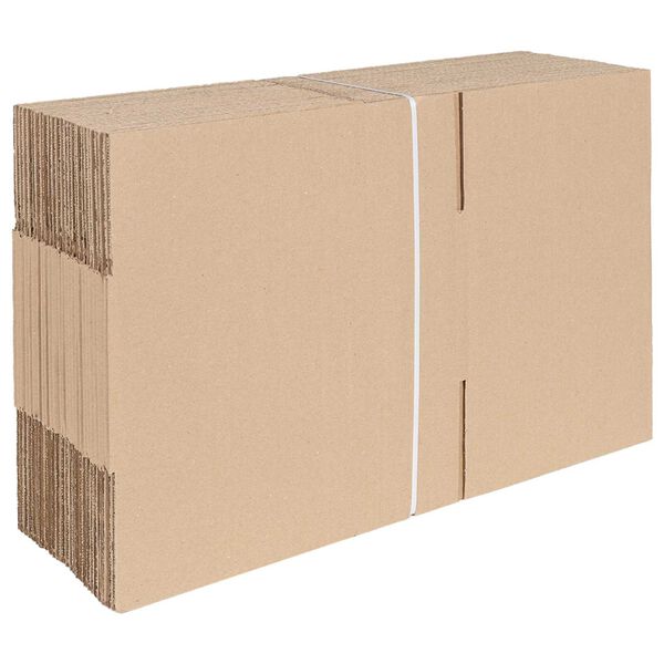vidaXL Faltbox mit Speicher 50 pcs Natur 30 x 21,5 x 14 cm Karton