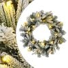 vidaXL Weihnachtskranz Gr&uuml;n und Wei&szlig; &Oslash; 50 cm PVC und PE 25 LEDs