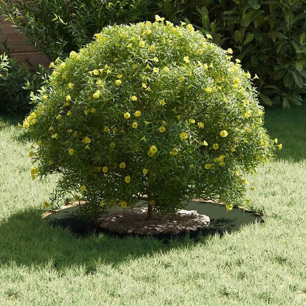 vidaXL geeignet f&uuml;r flachen Baumring Olivgr&uuml;n &Oslash;30 / 60 cm Stahl