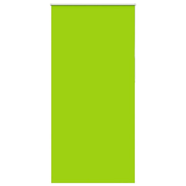vidaXL Verdunkelungsrollo Gr&uuml;n 100x210cm Stoffbreite 95,7 cm Polyester