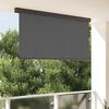 vidaXL Outdoor Rollo Gestreift Anthrazit 200 x 250 cm Stoff